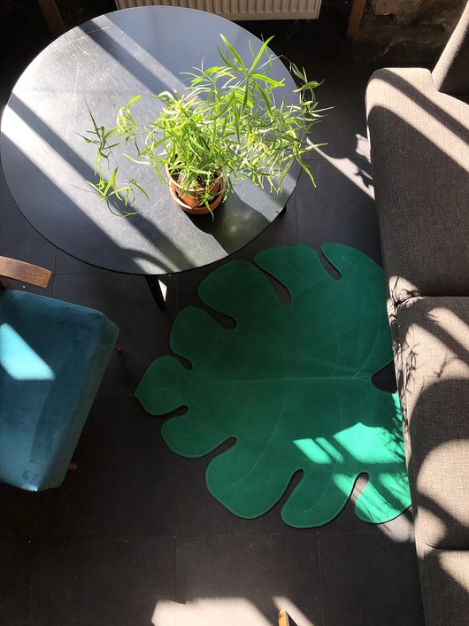 Monstera dywanik Pan Pepe