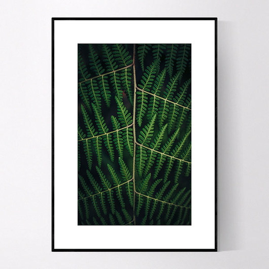 Plakat FERN 50X70 CM MUKKO