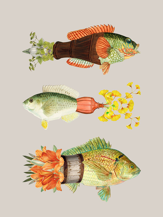 plakaty Plakat / Surrealistyczny Kolaż / Fish Out Of Water