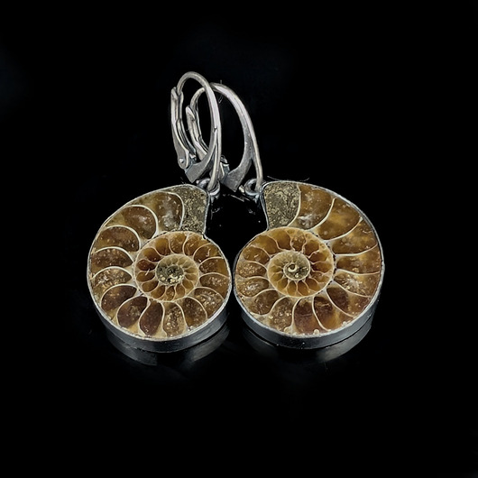 kolczyki srebrne Kolczyki srebrne fossil- Pradawne amonity