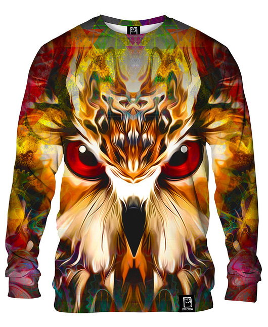 bluzy męskie Bluza Bez Kaptura Męska DR.CROW Owl