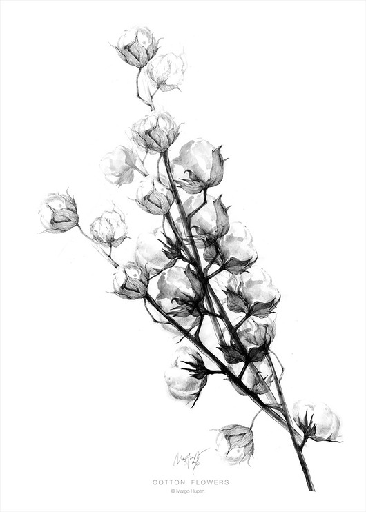 kwiaty bawełny |40x50 cm Margo Hupert