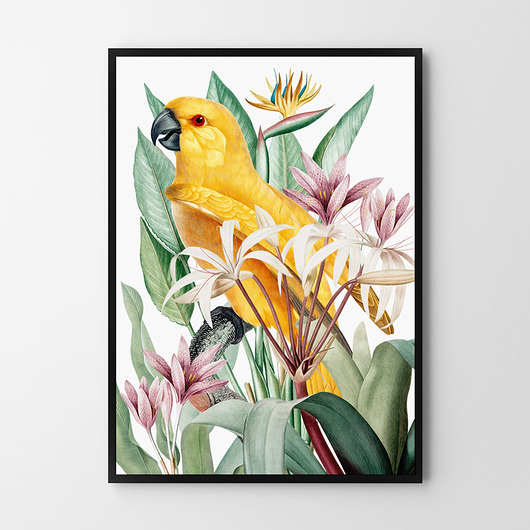 plakaty Plakat Papuga i kwiaty 