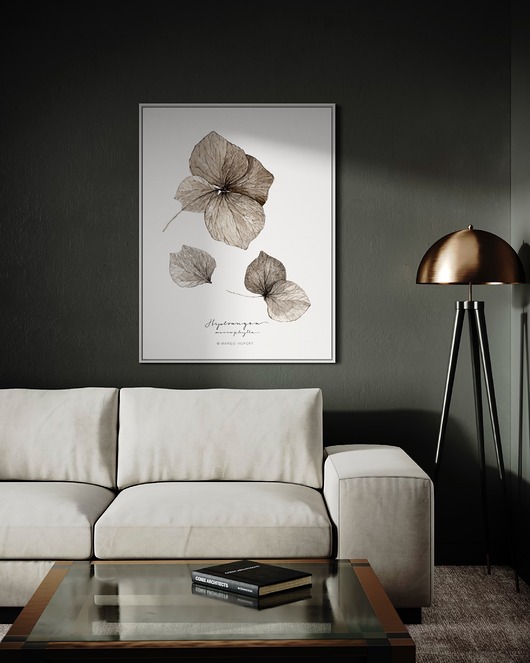 plakaty Plakat Hortensja/ Reprodukcja autorskiej akwareli