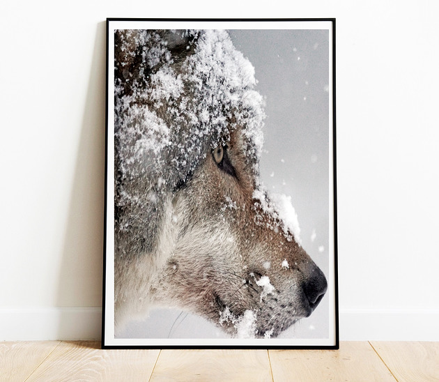 plakaty Plakat Obraz Wilk 01