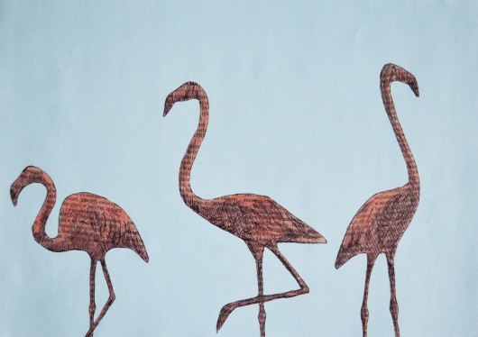 flamingi ela hejna