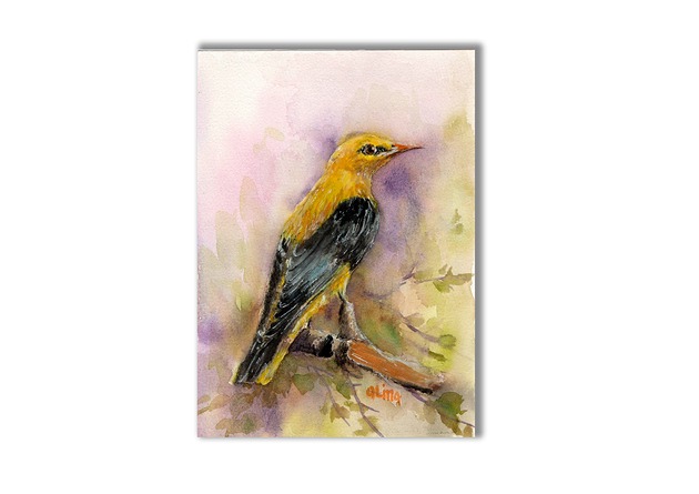 grafiki i ilustracje Wilga. Akwarela ręcznie malowana