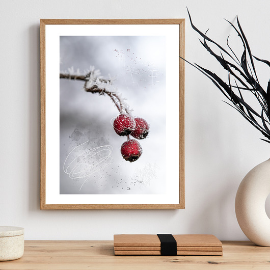 plakaty Plakat Frozen Beauty