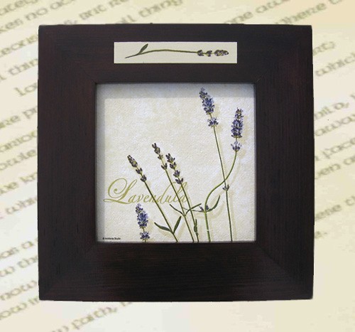 Obrazek   LAVENDULA II ANIKA45