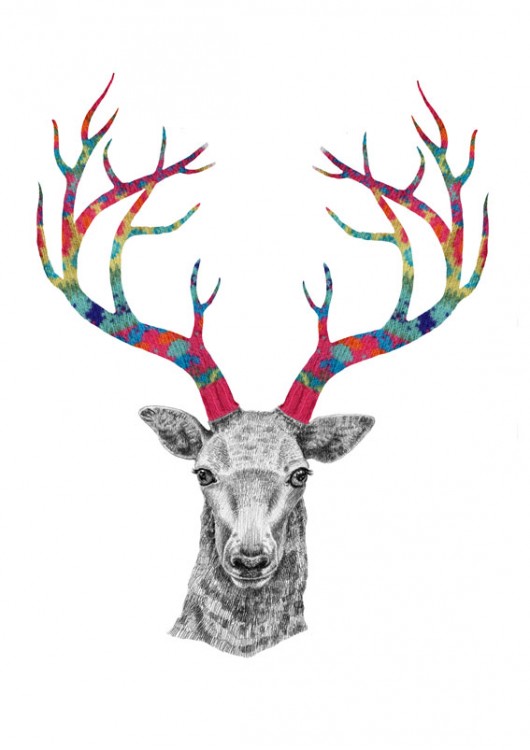deer 3x Tiri riri