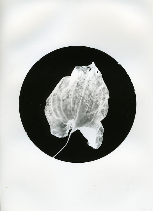 fotografia Wyczerpane dwa