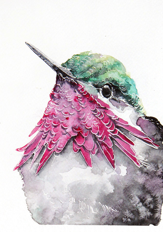 Koliber - plakat, reprodukcja 20x30cm Karolina Kijak