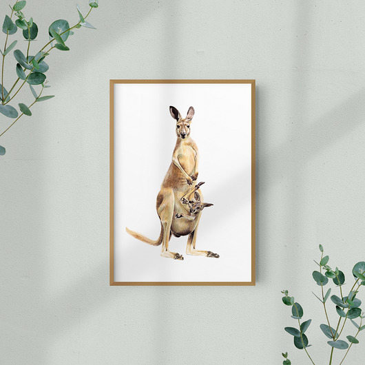 grafiki i ilustracje Kangur mama i dziecko