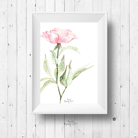 Plakat botaniczny A4  - Kwiatek różowy Merely Susan