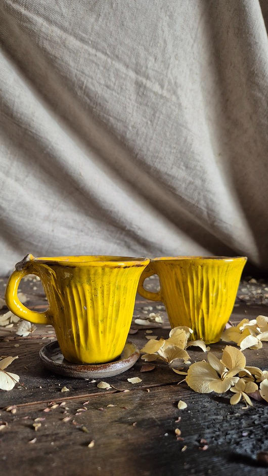 kubki Filizanka KURKA, filiżanka grzyb, mushroom mug, kurki kubki