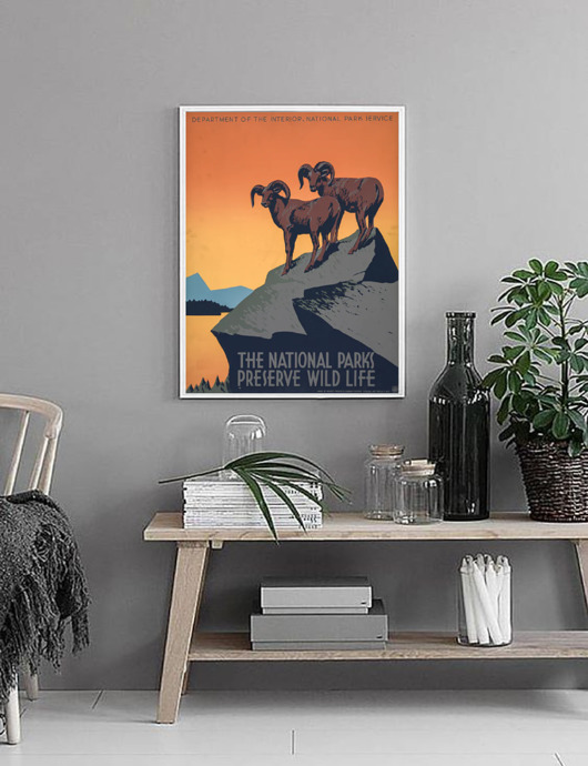 plakaty PLAKAT vintage retro zwierzęta park narodowy