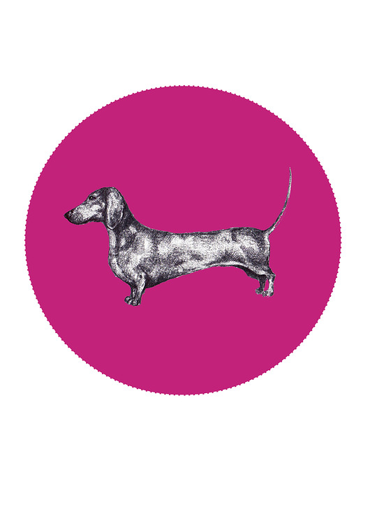 grafiki i ilustracje Jamnik- grafika- ilustracja- psy