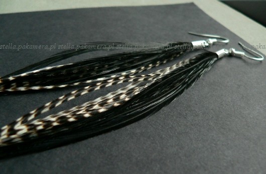 czarna zebra Stella