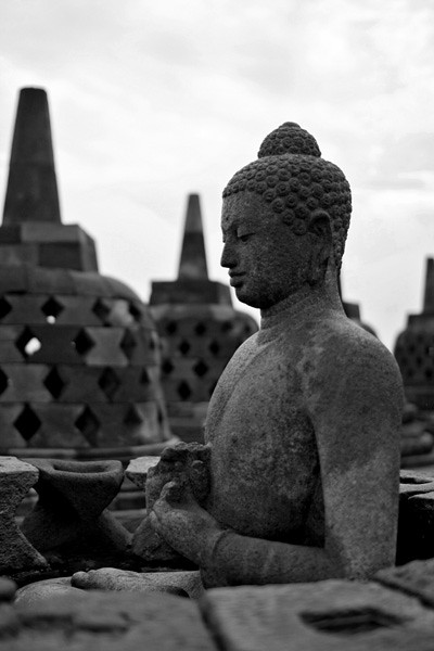 Budda VIII Chilli Art