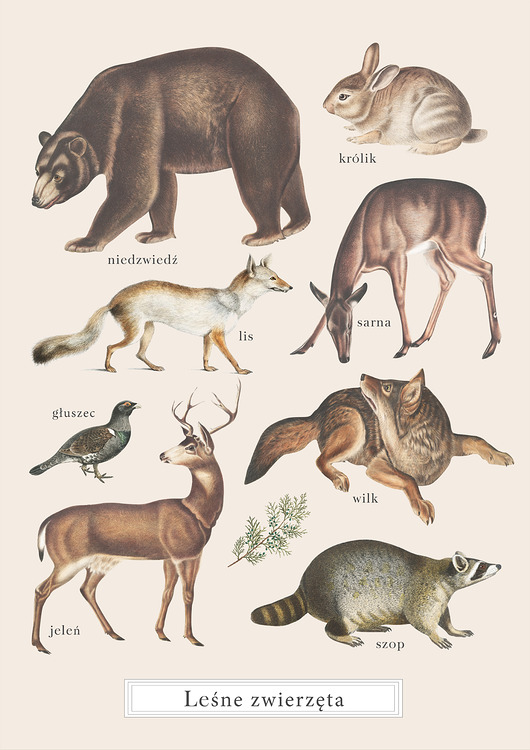 obrazy i plakaty do pokoju dziecięcego Plakat Leśne Zwierzęta Vintage Boho