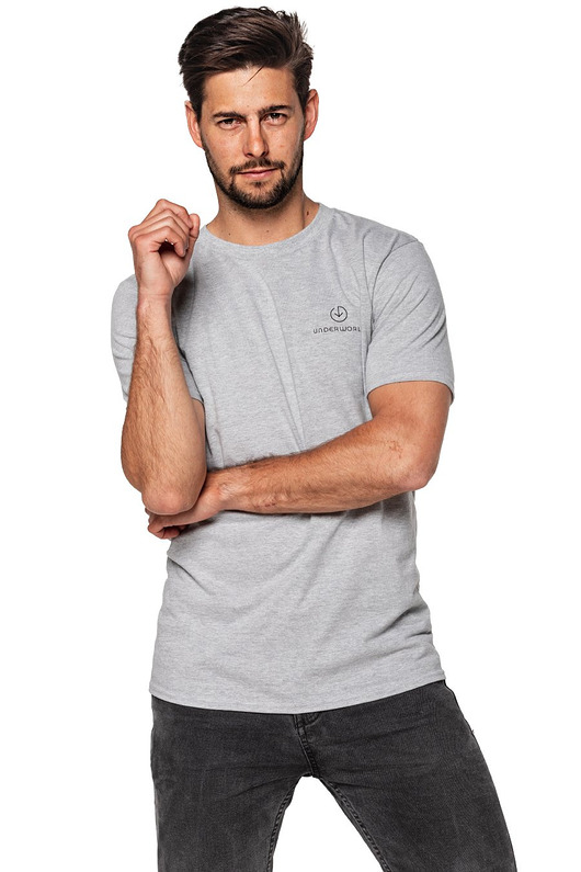 t-shirty męskie T-shirt męski UNDERWORLD Basic
