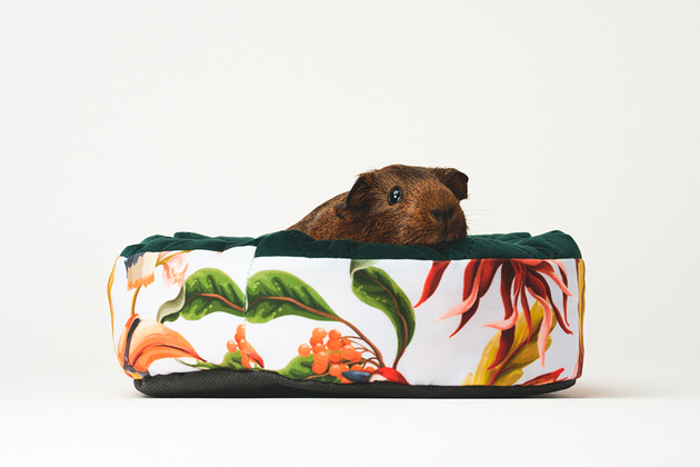 legowiska dla psów i kotów Legowisko oponka