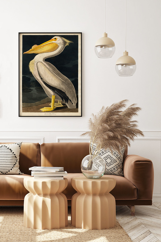 Plakat w stylu retro ' Pelikan amerykański' Szare Kropki