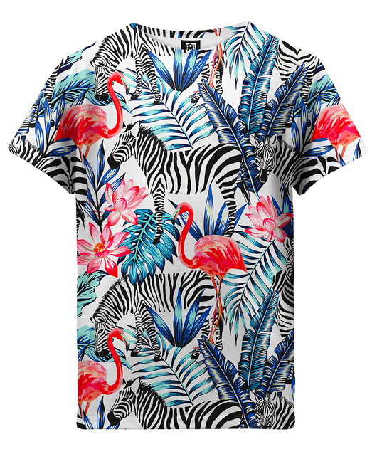 t-shirty dla chłopców T-shirt Boy DR.CROW Flamingi
