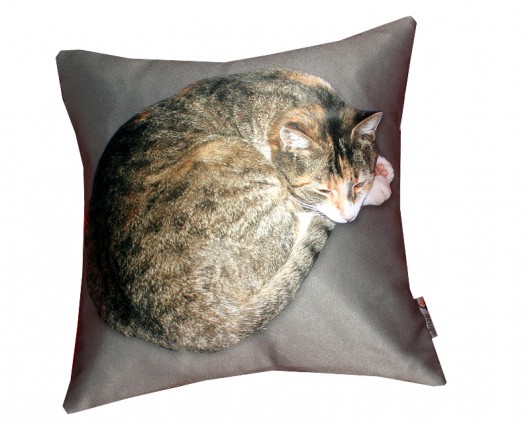  promocja!kot dla alergika 36cm :) szary AT design