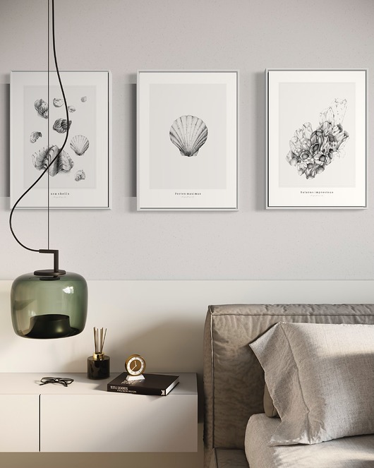 grafiki i ilustracje Muszle - Komplet 3 wydruków