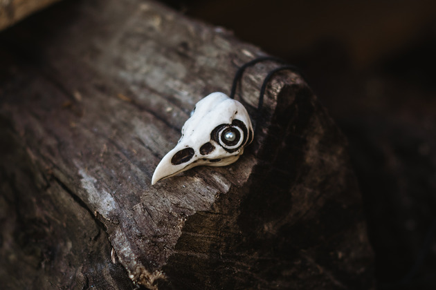 wisiory Wisior Czaszka Ptaka - Tyto Alba - Perłowe oczy