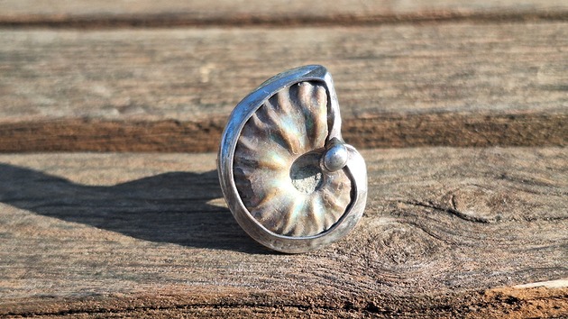 pierścionki - różne Amonit - pierścionek regulowany