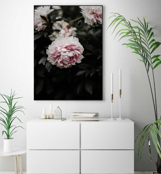 PLAKAT z kwiatami różowe kwiaty ciemne tło black dot studio