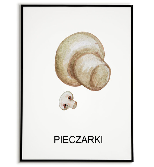 plakaty Plakat  GRAFIKA PIECZARKI warzywa ZIOŁA