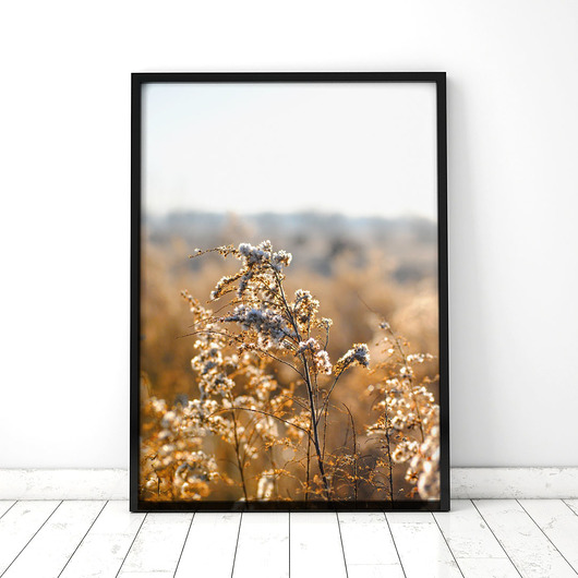 Plakat Jesienne trawy 4 COLORMINT