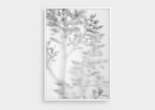 BLOOMIES!  ART PRINT | B1 |100x70 cm | MASPARTU