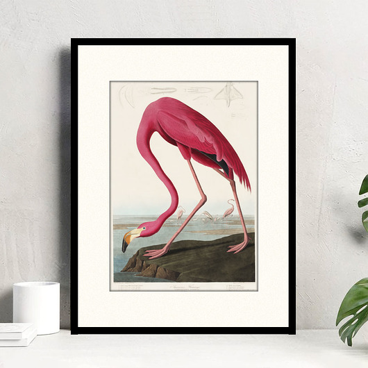 grafiki i ilustracje Flaming / grafika vintage