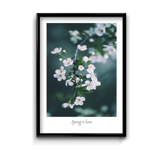 plakaty Plakat Spring is Here 