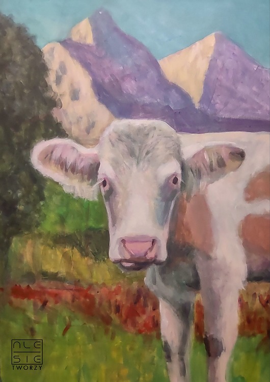 obrazy Radosna krowa alpejska - 50x70 cm