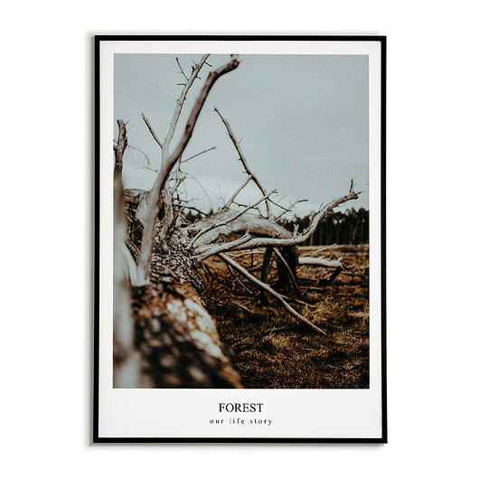 Plakat LAS - Grafika,Obraz na ścianę Bajkowe Obrazki