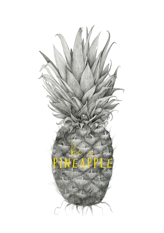plakaty Plakat  Ananas comosus