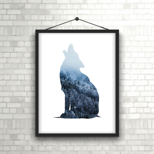 Plakat wilk Colleco