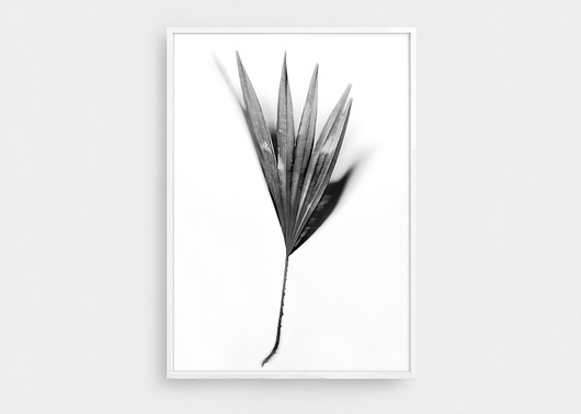 PALM LEAF!  ART PRINT | B1 |100x70 cm | MASPARTU