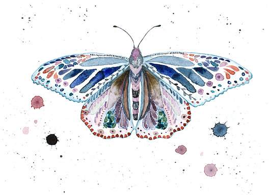 Ćma deco, 21x30 cm, A4 JUST ILUST Justyna Małczak