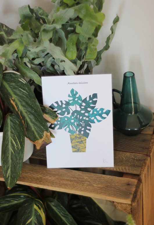 MONSTERA DELICIOSA z serii ROŚLINY DOMOWE Kasia Worek