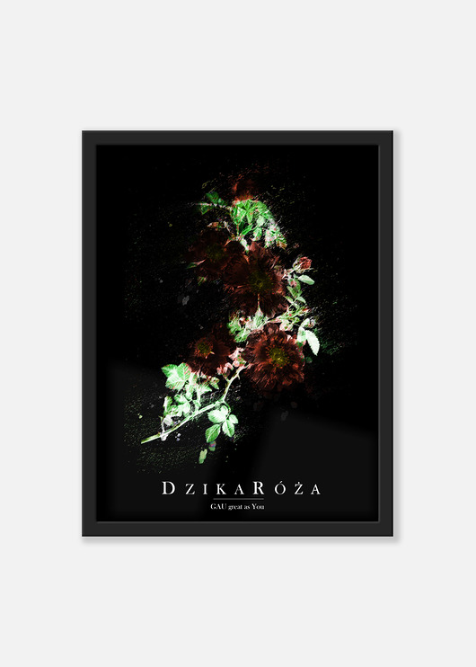 Dzika Róża BLACK Plakat GAU Home