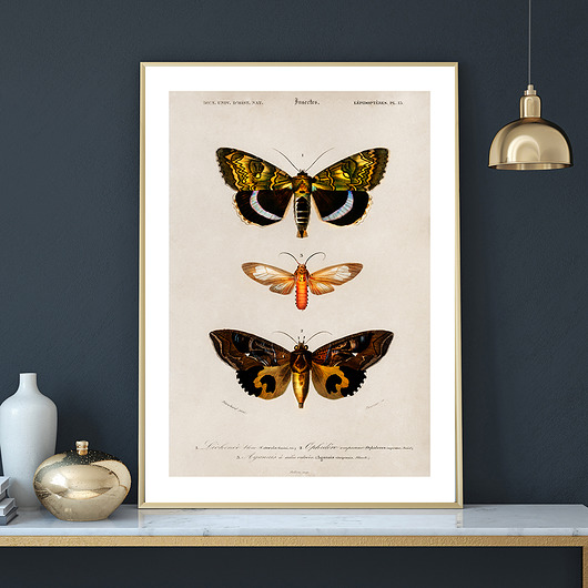 Plakat BUTTERFLIES no.2 muybien