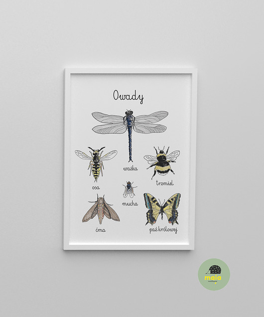 Plakat edukacyjny Owady 1 Montessori Old Soul Mood Prints