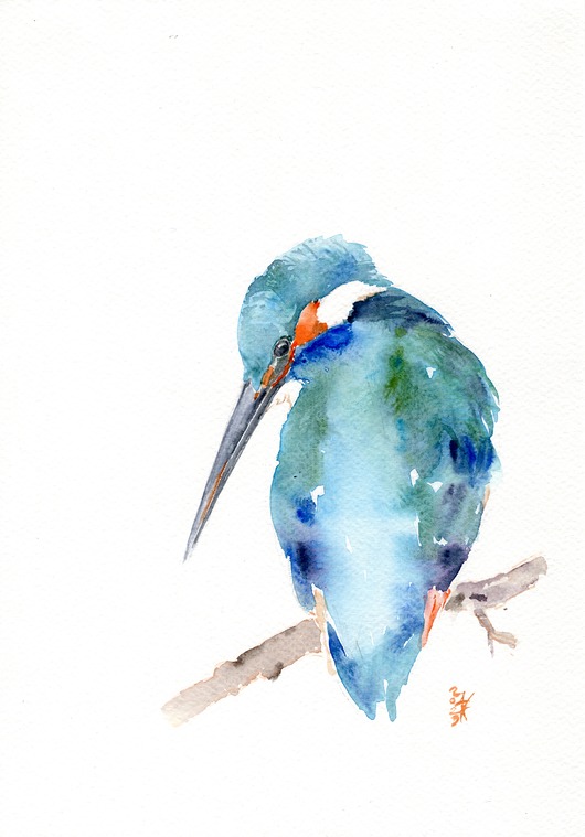 obrazy Oryginalna akwarela. Zimorodek