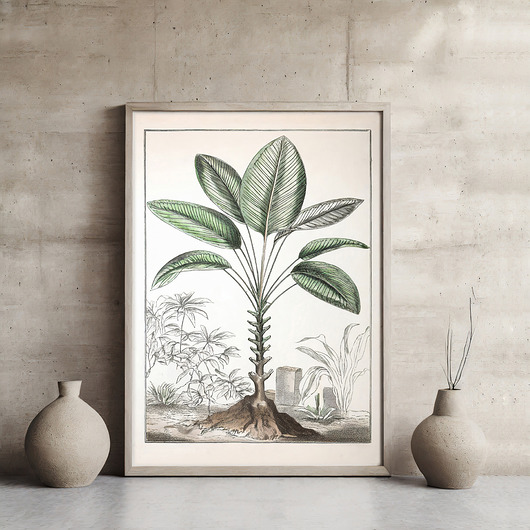 plakaty Plakat botaniczny